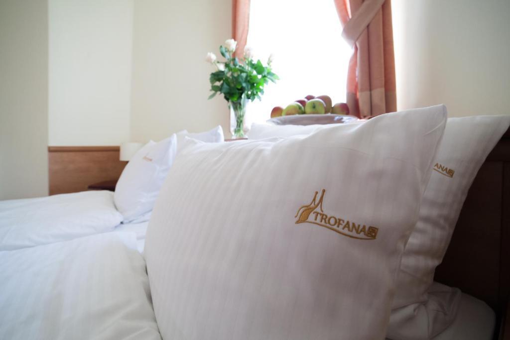 Hotel Trofana Wellness & 3*